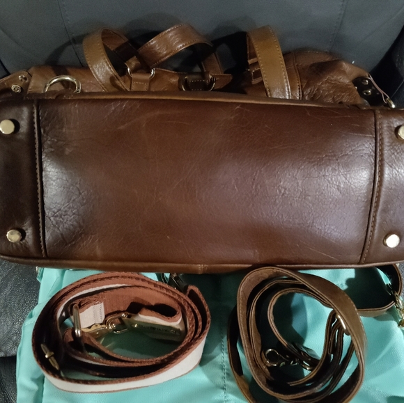 Lily Jade Shaylee Old English - Picture 4 of 5